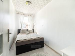 Prodej bytu 3+1, České Budějovice - České Budějovice 2, V. Volfa, 74 m2