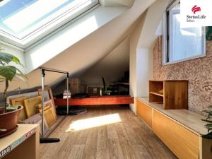 Pronájem bytu 1+kk, Plzeň, Borská, 65 m2