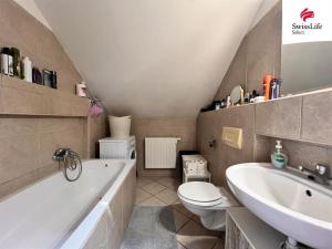 Pronájem bytu 1+kk, Plzeň, Borská, 65 m2