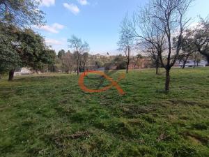 Prodej zemědělské usedlosti, Ostrata, 154 m2