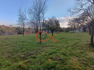 Prodej zemědělské usedlosti, Ostrata, 154 m2