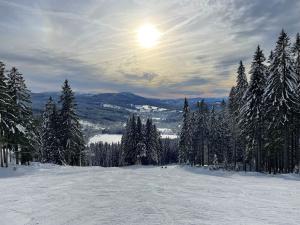 Pronájem bytu 3+kk, Železná Ruda, Ke hřišti, 62 m2