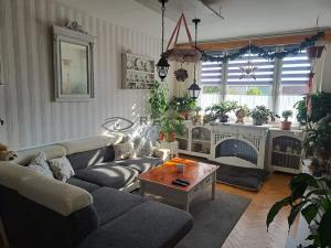 Pronájem bytu 3+1, České Budějovice, Pekárenská, 81 m2