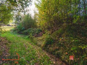 Prodej pozemku pro bydlení, Železná Ruda, 607 m2