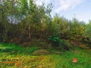 Prodej pozemku pro bydlení, Železná Ruda, 607 m2