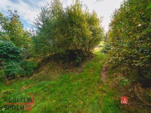 Prodej pozemku pro bydlení, Železná Ruda, 607 m2