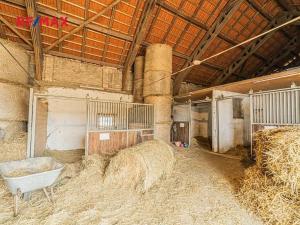 Prodej zemědělské usedlosti, Chlumín, 740 m2