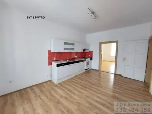 Prodej rodinného domu, Krnov - Pod Bezručovým vrchem, Albrechtická, 300 m2