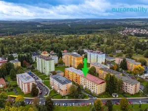 Prodej bytu 2+1, Mariánské Lázně, Za Tratí, 64 m2