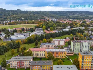 Prodej bytu 2+1, Mariánské Lázně, Za Tratí, 64 m2