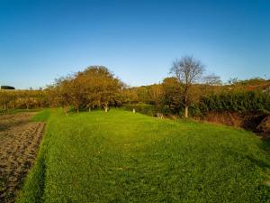 Prodej pozemku, Pitín, 768 m2