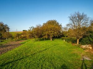 Prodej pozemku, Pitín, 768 m2