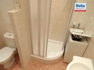 Pronájem bytu 1+kk, Liberec, Libušina, 28 m2