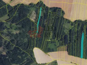 Prodej lesa, Městečko Trnávka, 33528 m2