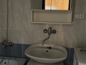 Pronájem bytu 1+1, Praha, Elišky Přemyslovny, 42 m2