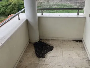 Prodej rodinného domu, Balčik, Bulharsko, 180 m2