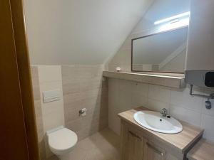 Pronájem bytu 1+kk, Moravské Budějovice, 47 m2
