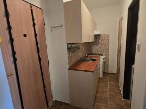 Prodej bytu 1+1, Beroun - Beroun-Město, Josefa Hory, 34 m2