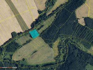 Prodej pole, Sobíšky, 42910 m2