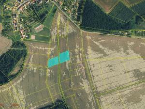 Prodej pole, Sobíšky, 42910 m2