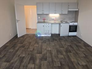 Pronájem bytu 1+kk, Ostrava - Dubina, Jana Maluchy, 32 m2