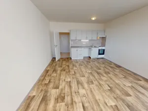 Pronájem bytu 1+kk, Ostrava - Dubina, Jana Maluchy, 32 m2