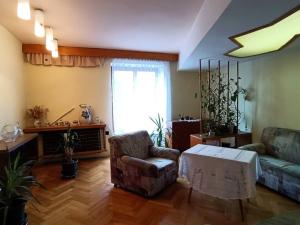 Prodej bytu 2+1, České Budějovice - České Budějovice 3, Otakarova, 57 m2