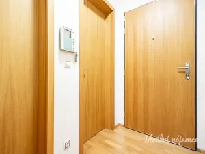 Pronájem bytu 2+kk, Praha - Karlín, Křižíkova, 55 m2