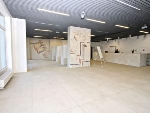 Prodej bytu 1+kk, Praha - Vysočany, Freyova, 22 m2