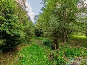 Prodej chaty, Lázně Bělohrad - Hřídelec, 20 m2