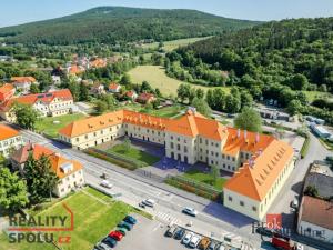 Prodej bytu 1+kk, Praha - Vinohrady, Slavíkova, 49 m2