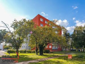 Prodej bytu 3+1, Hradec Králové - Moravské Předměstí, Vysocká, 62 m2