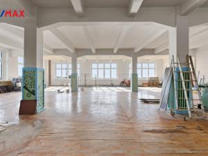 Prodej výrobních prostor, Aš, Tyršova, 4434 m2