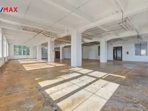 Prodej výrobních prostor, Aš, Tyršova, 4434 m2