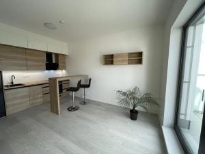 Pronájem bytu 2+kk, Brno, třída Generála Píky, 50 m2