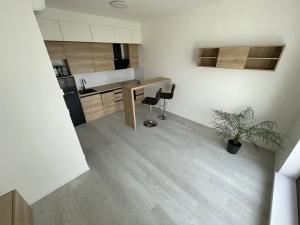 Pronájem bytu 2+kk, Brno, třída Generála Píky, 50 m2