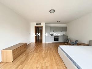 Pronájem bytu 1+kk, Praha - Žižkov, Pitterova, 44 m2
