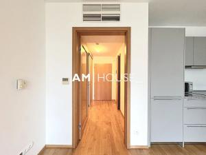 Pronájem bytu 1+kk, Praha - Žižkov, Pitterova, 44 m2