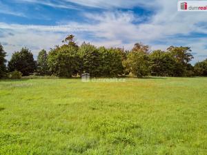 Prodej rodinného domu, Františkovy Lázně - Slatina, 3600 m2