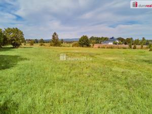 Prodej rodinného domu, Františkovy Lázně - Slatina, 3600 m2