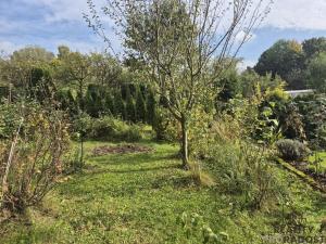 Prodej chalupy, Třinec, Kaštanová, 30 m2