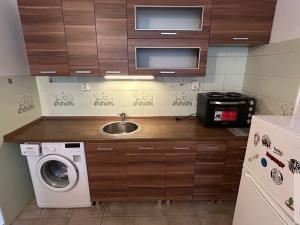 Pronájem bytu 1+1, Ústí nad Labem - Všebořice, Spartakiádní, 37 m2