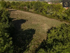 Prodej pozemku pro bydlení, Tachlovice, Mlýnská, 16910 m2