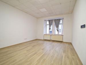Pronájem bytu 2+kk, Plzeň - Jižní Předměstí, Plachého, 50 m2