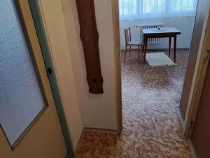 Pronájem bytu 1+1, Ostrava, Hornopolní, 40 m2