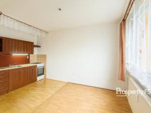 Prodej bytu 1+1, Česká Lípa, Kolínská, 40 m2