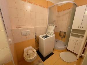 Pronájem bytu 1+1, Turnov, Sídliště Jana Patočky, 40 m2