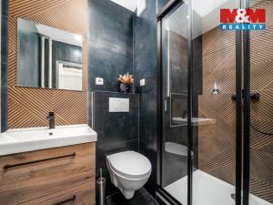 Prodej bytu 1+kk, Hradec Králové - Slezské Předměstí, Třebechovická, 35 m2