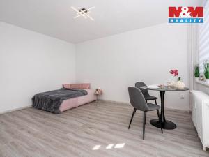 Prodej bytu 1+kk, Hradec Králové - Slezské Předměstí, Třebechovická, 35 m2