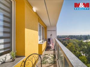 Prodej bytu 1+kk, Hradec Králové - Slezské Předměstí, Třebechovická, 35 m2